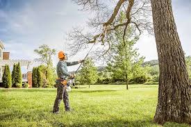 Best Hazardous Tree Removal  in Seacliff, CA